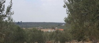 مزرعة للبيع فى أزينة - جاناكالي