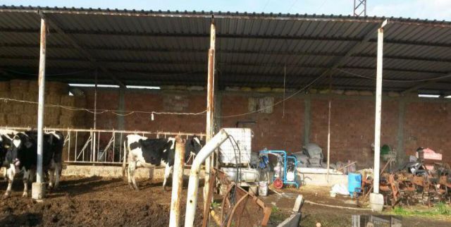 Chalet For Sale In Malkara - Tekirdag