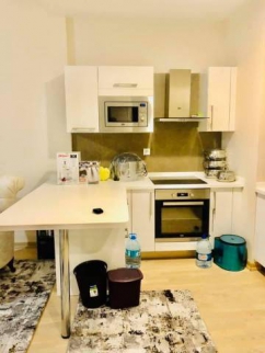 Apartment For Rent In Bashakshehir - Istanbul
