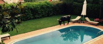 Villa For Rent In Beykoz - Istanbul