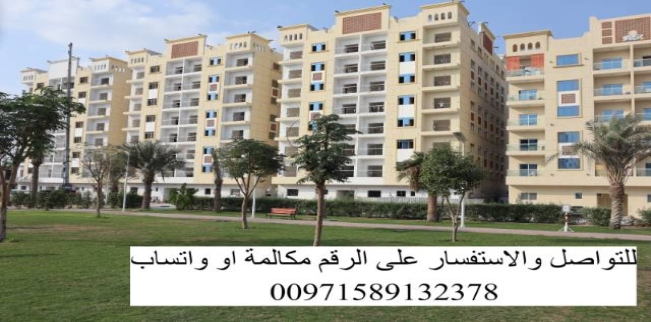 Apartment For Sale In Hamidiya - Ajman - Ajman