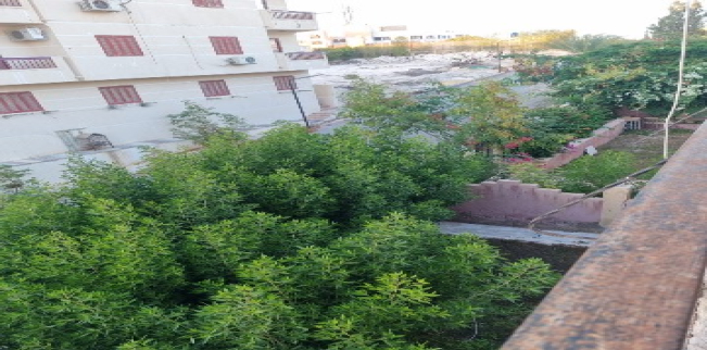 شقة للبيع فى مركز الحمام - مطروح